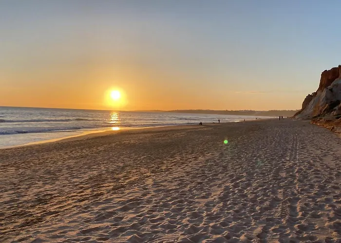 Paradise On The Beach