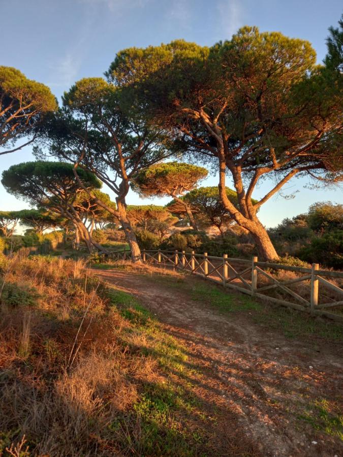 Paradise On The Vakantiehuis