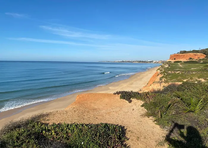 Paradise On The Beach